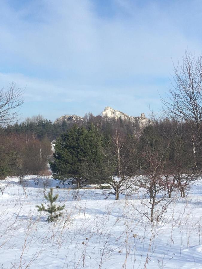 Przy Zamku Podzamcze (Zawiercie)