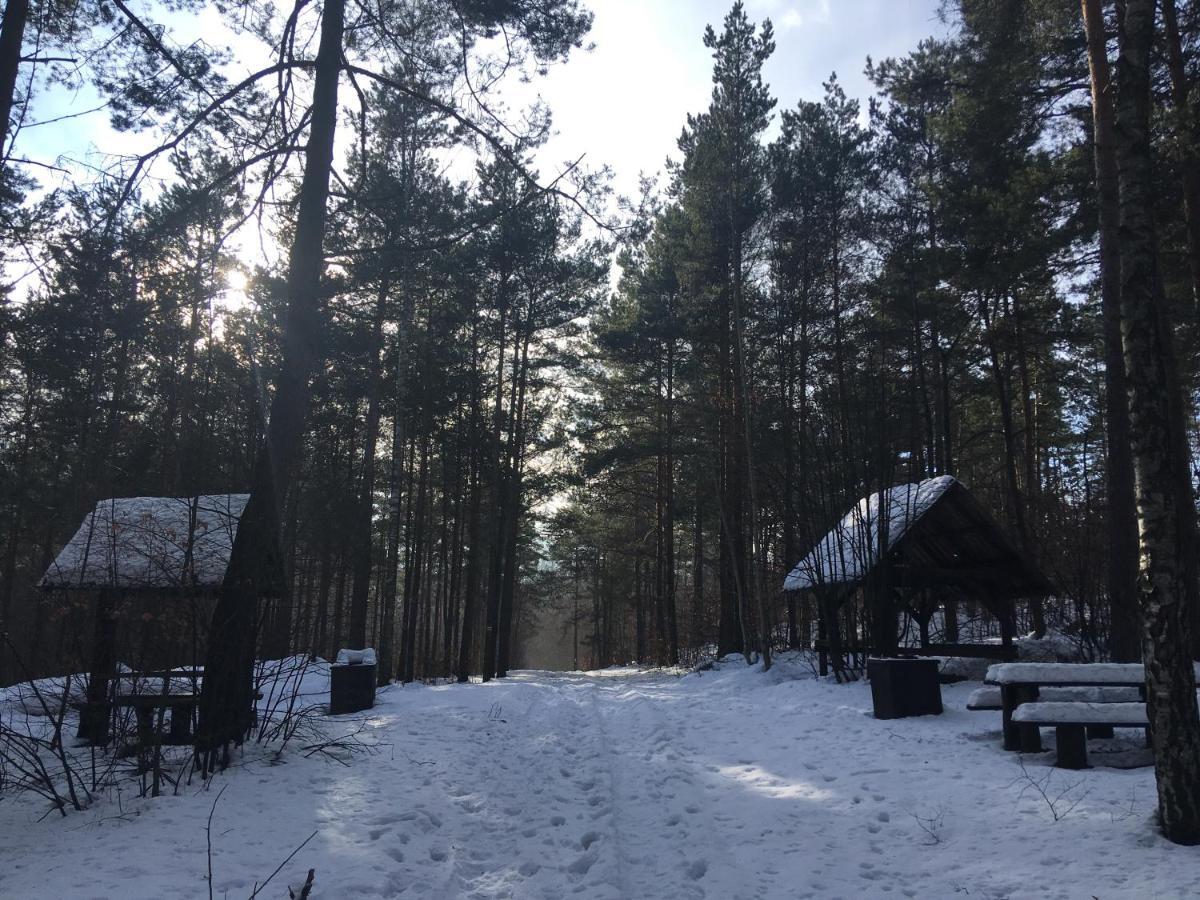 Przy Zamku Farm stay Podzamcze (Zawiercie)